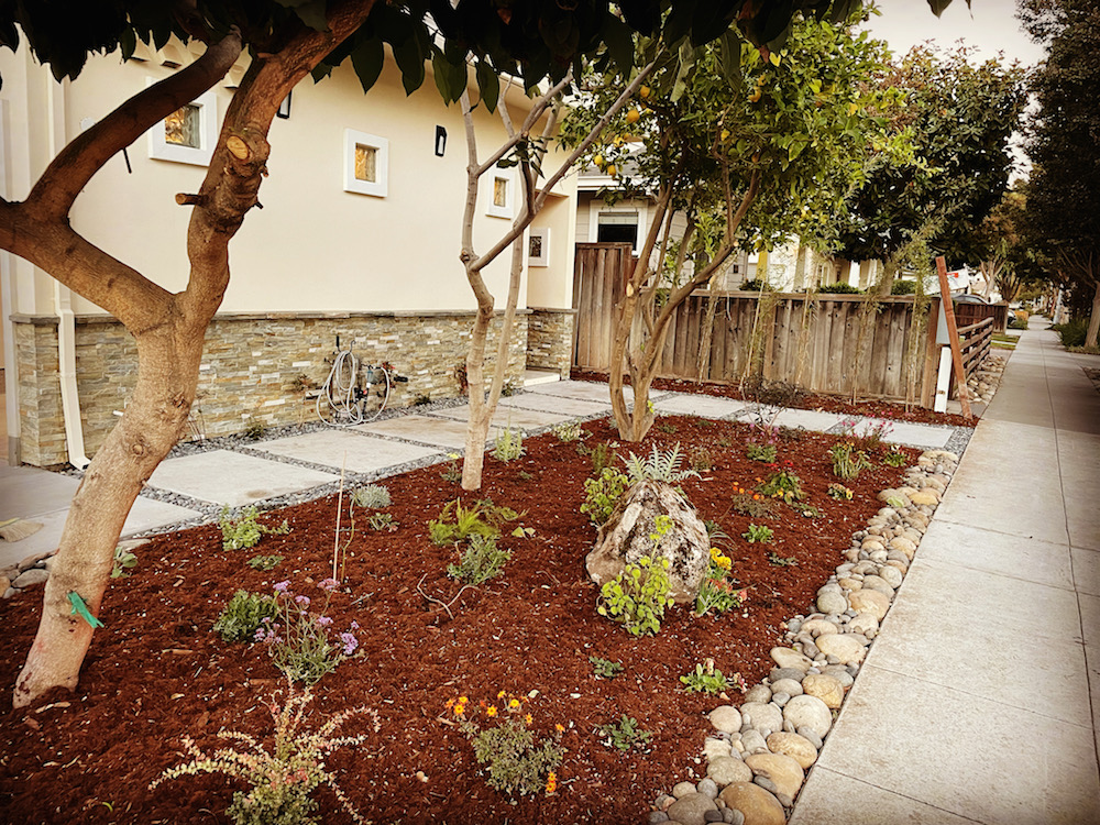 Sunnyvale Food Forest